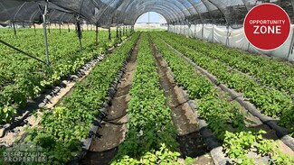 Plus de détails pour 78100 Harrison St, Thermal, CA - Terrain à louer