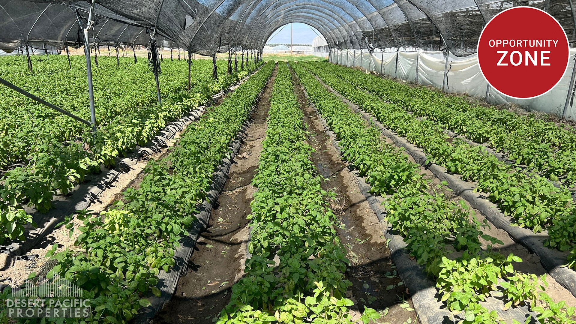 78100 Harrison St, Thermal, CA à louer Photo principale- Image 1 de 32