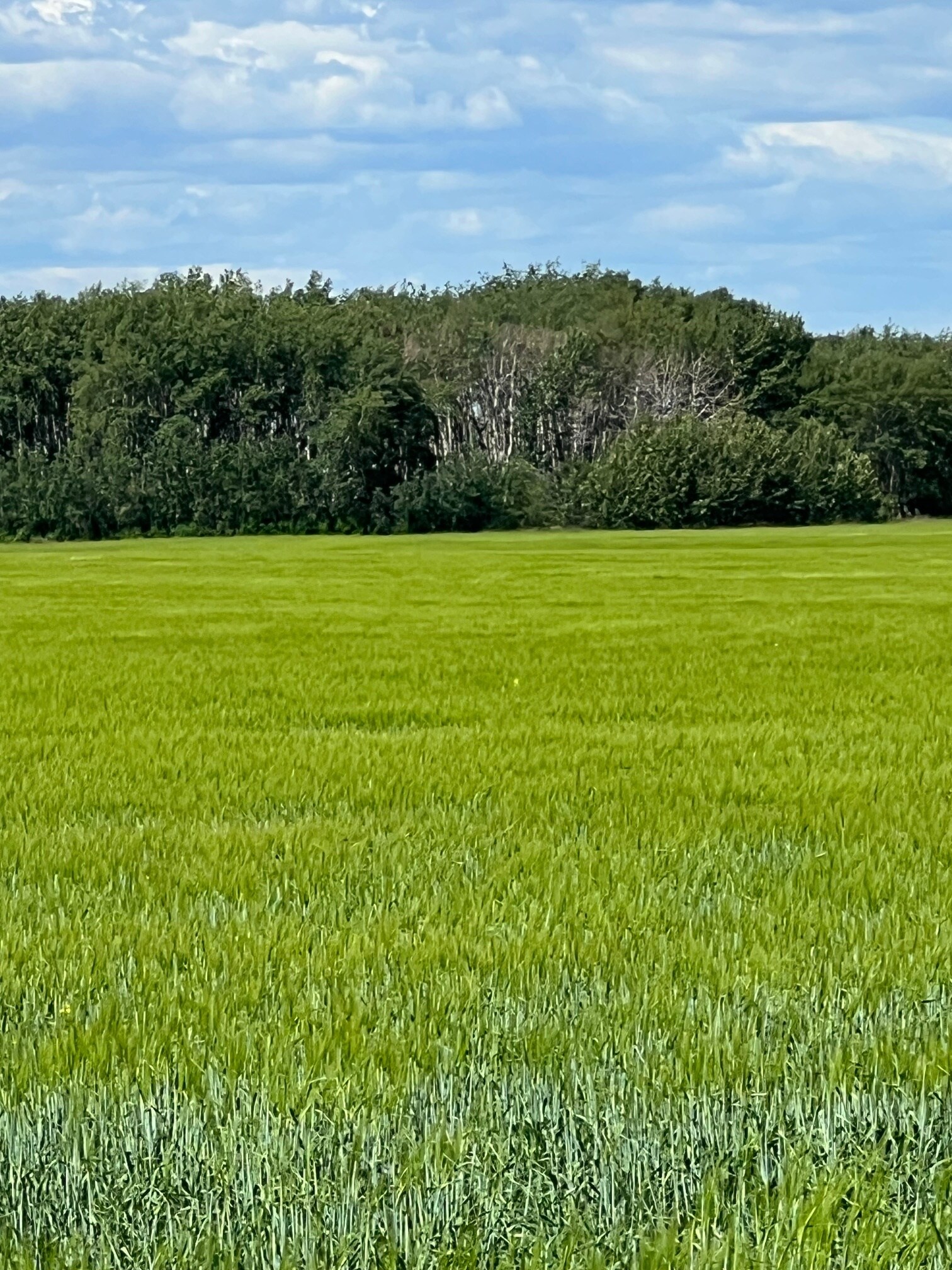 NE-17-72-6-W6, Grande Prairie, AB for sale Building Photo- Image 1 of 1