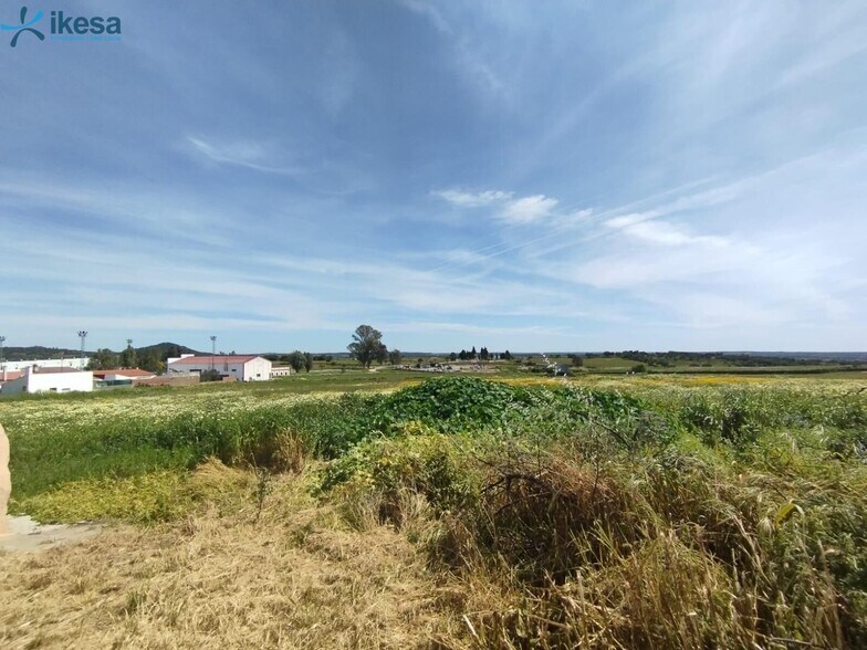 Land in Alosno, Huelva for sale - Aerial - Image 3 of 7