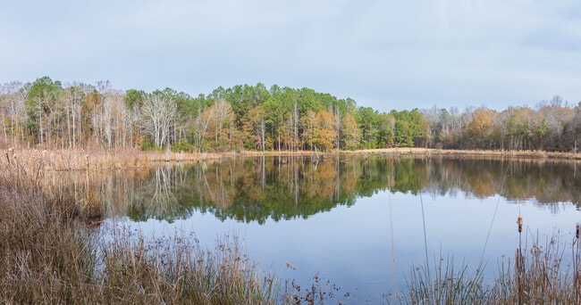 Plus de détails pour 409 Windward Ave, Orangeburg, SC - Terrain à vendre