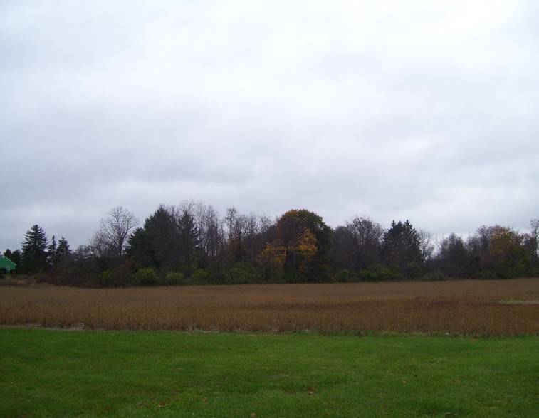 Route 202, East Amwell Township, NJ à vendre - Photo du bâtiment - Image 1 de 1