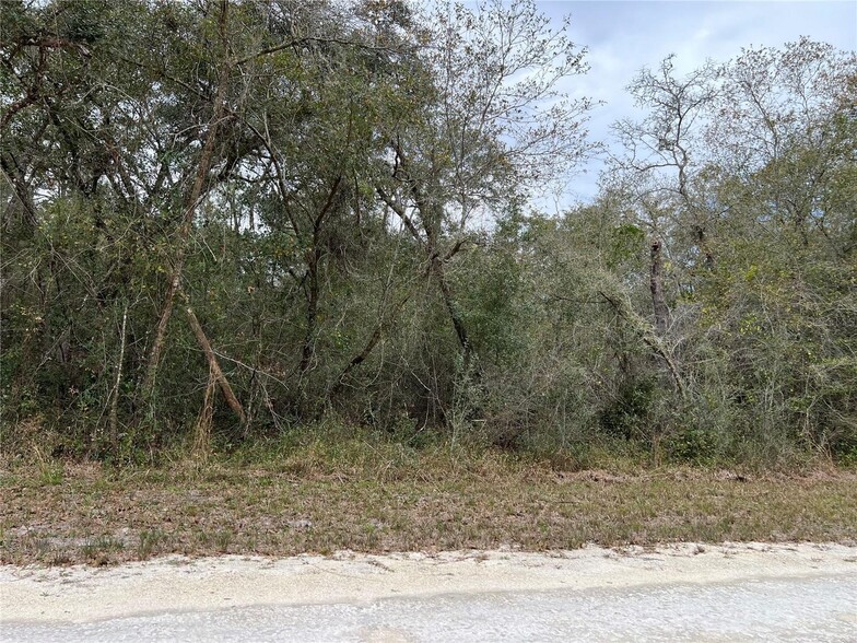 Plymouth Rock Drive, Webster, FL à vendre - Autre - Image 1 de 3