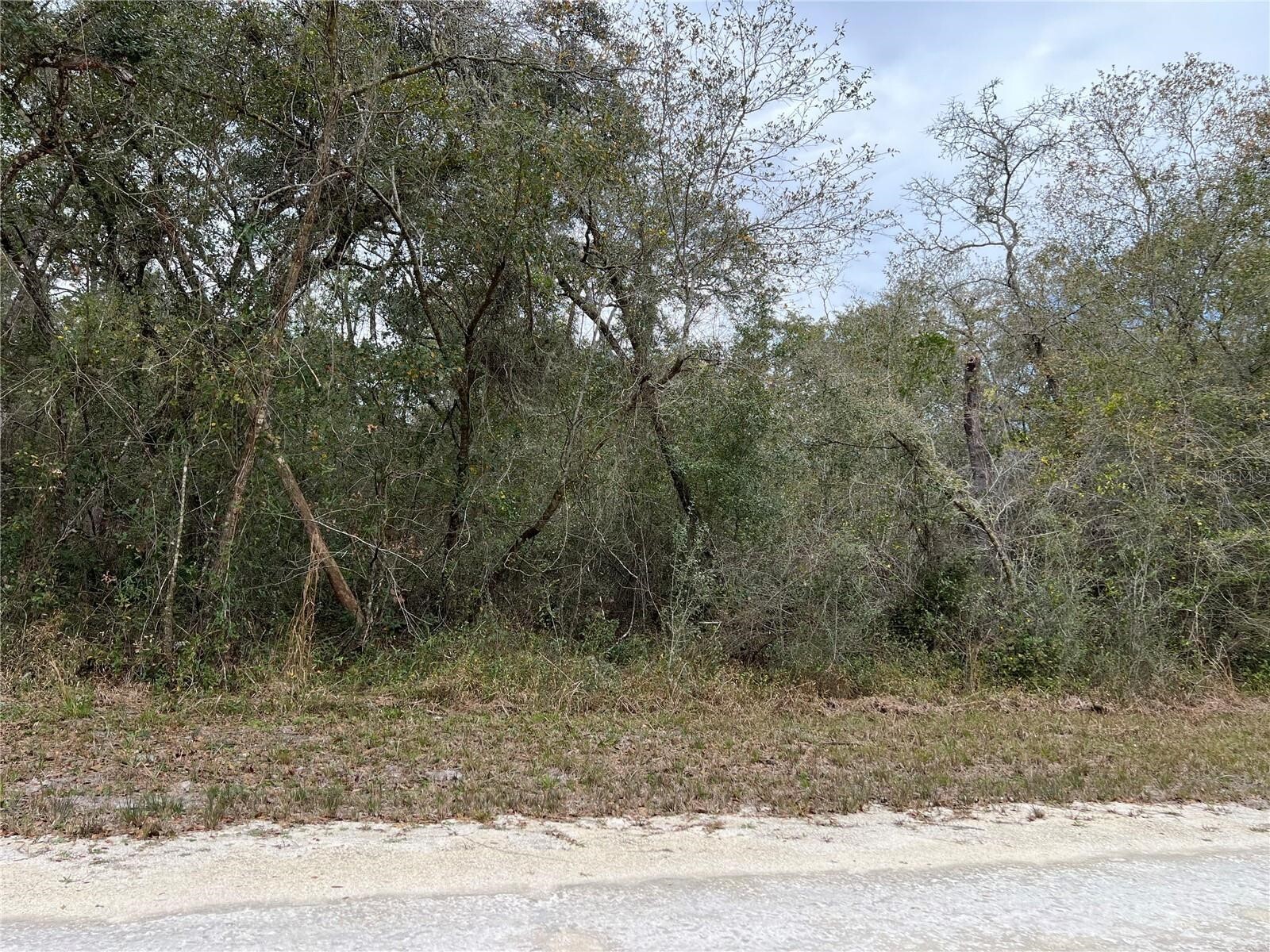 Plymouth Rock Drive, Webster, FL à vendre Autre- Image 1 de 4