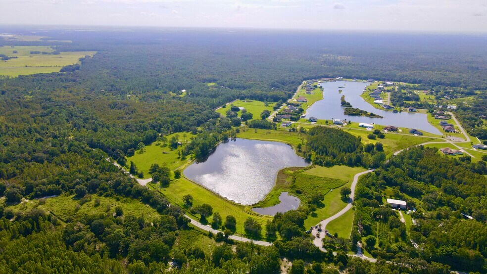 10460 Ehren Cutoff, Land O' Lakes, FL à vendre - Aérien - Image 3 de 13