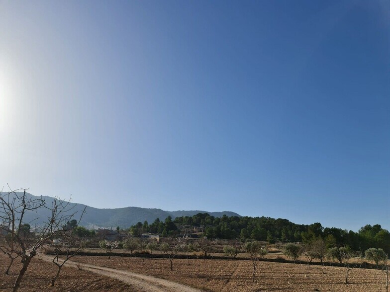 Terrain dans Jumilla, Murcia à vendre - Photo principale - Image 3 de 15