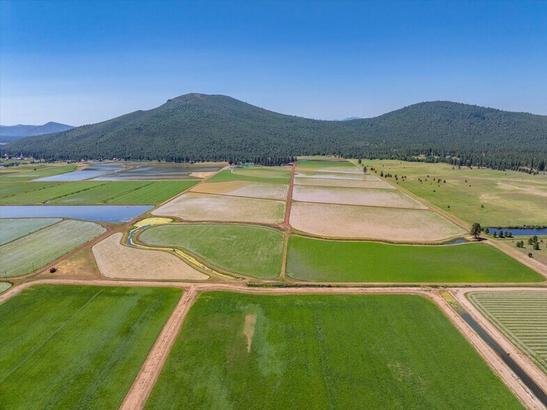 41494 Gomez Rd, Fall River Mills, CA à vendre - Photo du bâtiment - Image 2 de 92