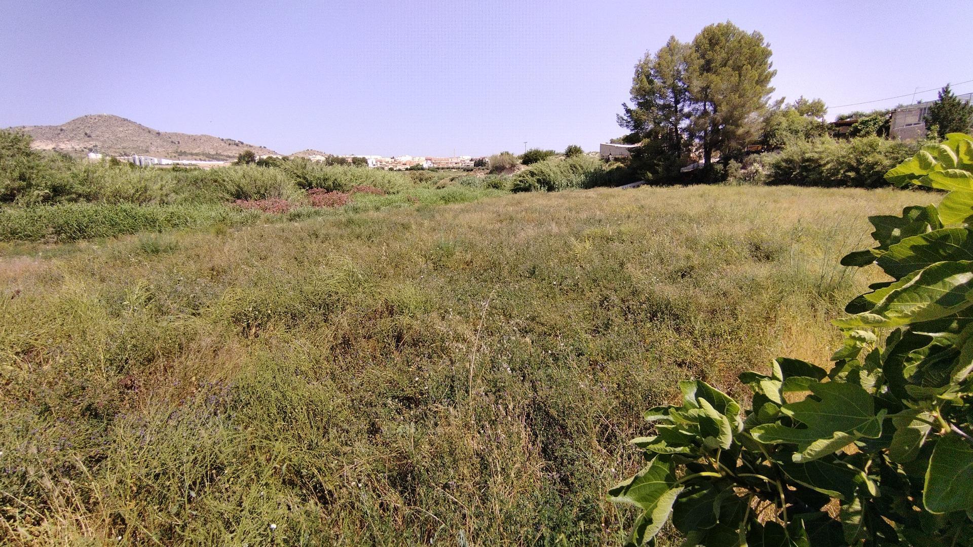 Terrain dans Calasparra, Murcia à vendre Plan de site- Image 1 de 10