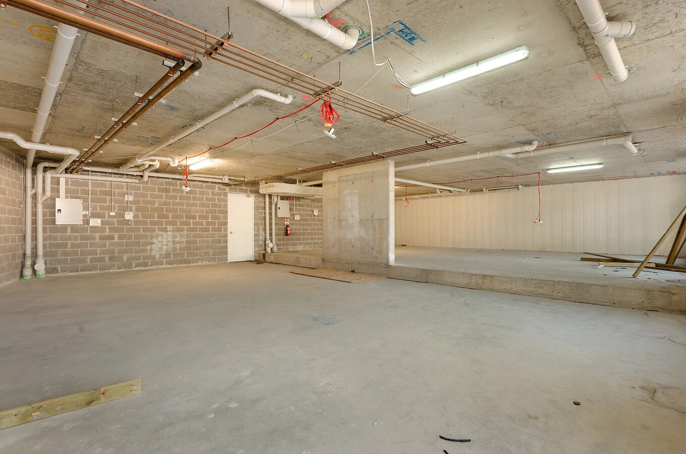 195 Lakemba St, Lakemba, NSW 2195 - Unit 2 - - Interior Photo - Image 2 of 2