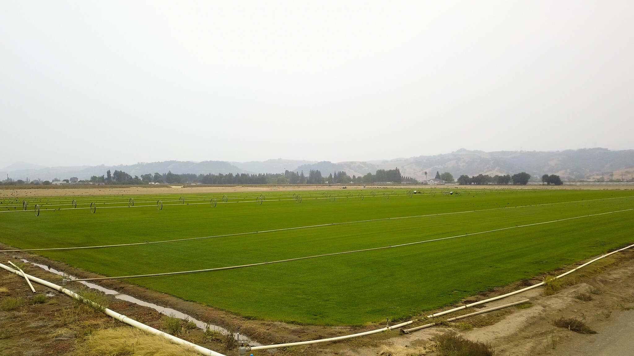 Richmond Ave, Morgan Hill, CA for sale Primary Photo- Image 1 of 7