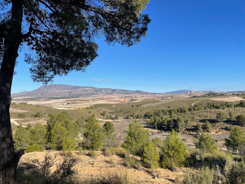 Terrain dans Jumilla, Murcia à vendre - Aérien - Image 3 de 11