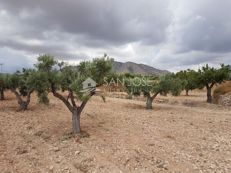 Land in HONDÓN DE LAS NIEVES, Alicante for sale - Primary Photo - Image 1 of 2
