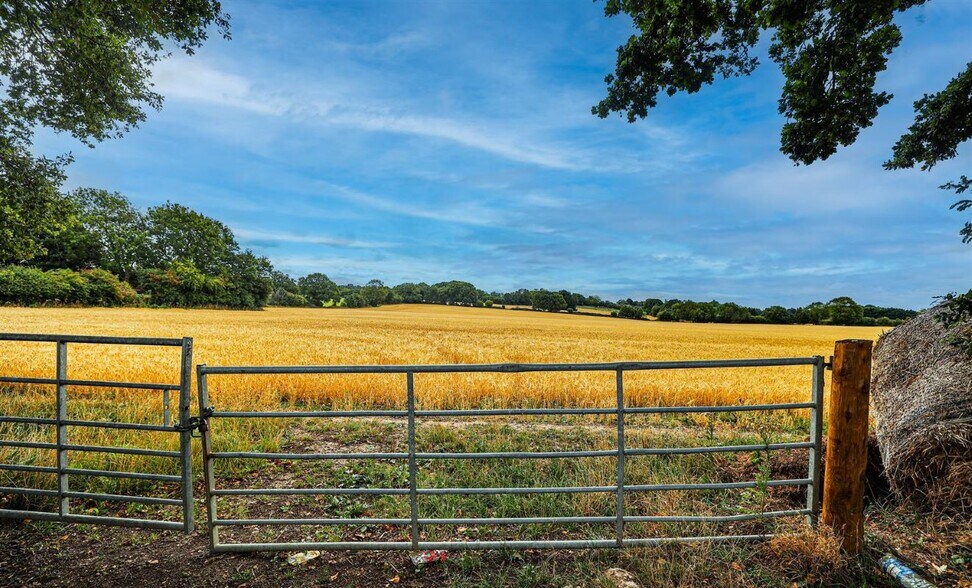 203 Toms Ln, Kings Langley à vendre - Photo principale - Image 1 de 4