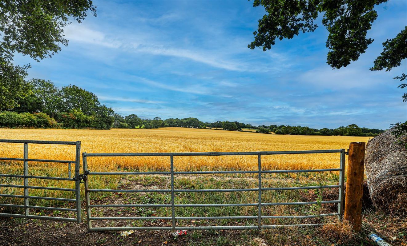 203 Toms Ln, Kings Langley à vendre Photo principale- Image 1 de 5