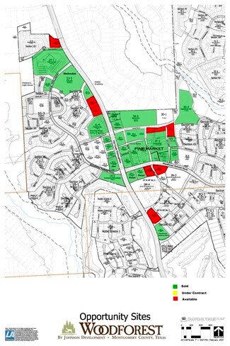 Plus de détails pour 251 Central Pine St, Montgomery, TX - Terrain à vendre