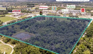 Plus de détails pour NWC Palm Beach Blvd, Fort Myers, FL - Terrain à vendre