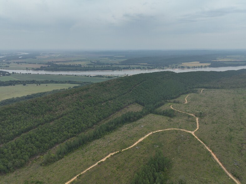 000 Pallisades Drive, Bigelow, AR à vendre - Photo principale - Image 1 de 6