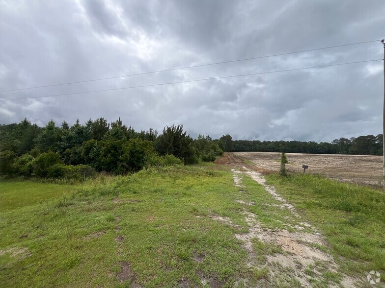 TBD Highway 905, Conway, SC for sale - Primary Photo - Image 1 of 6