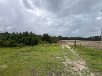 Plus de détails pour TBD Highway 905, Conway, SC - Terrain à vendre