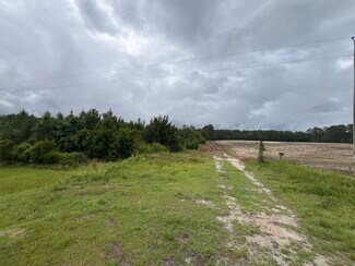 Plus de détails pour TBD Highway 905, Conway, SC - Terrain à vendre