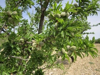 More details for Land for Sale