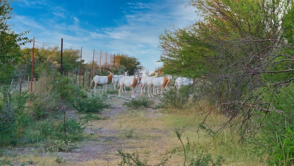 000 Ranch to Market 3008, Brackettville, TX for sale - Building Photo - Image 3 of 63
