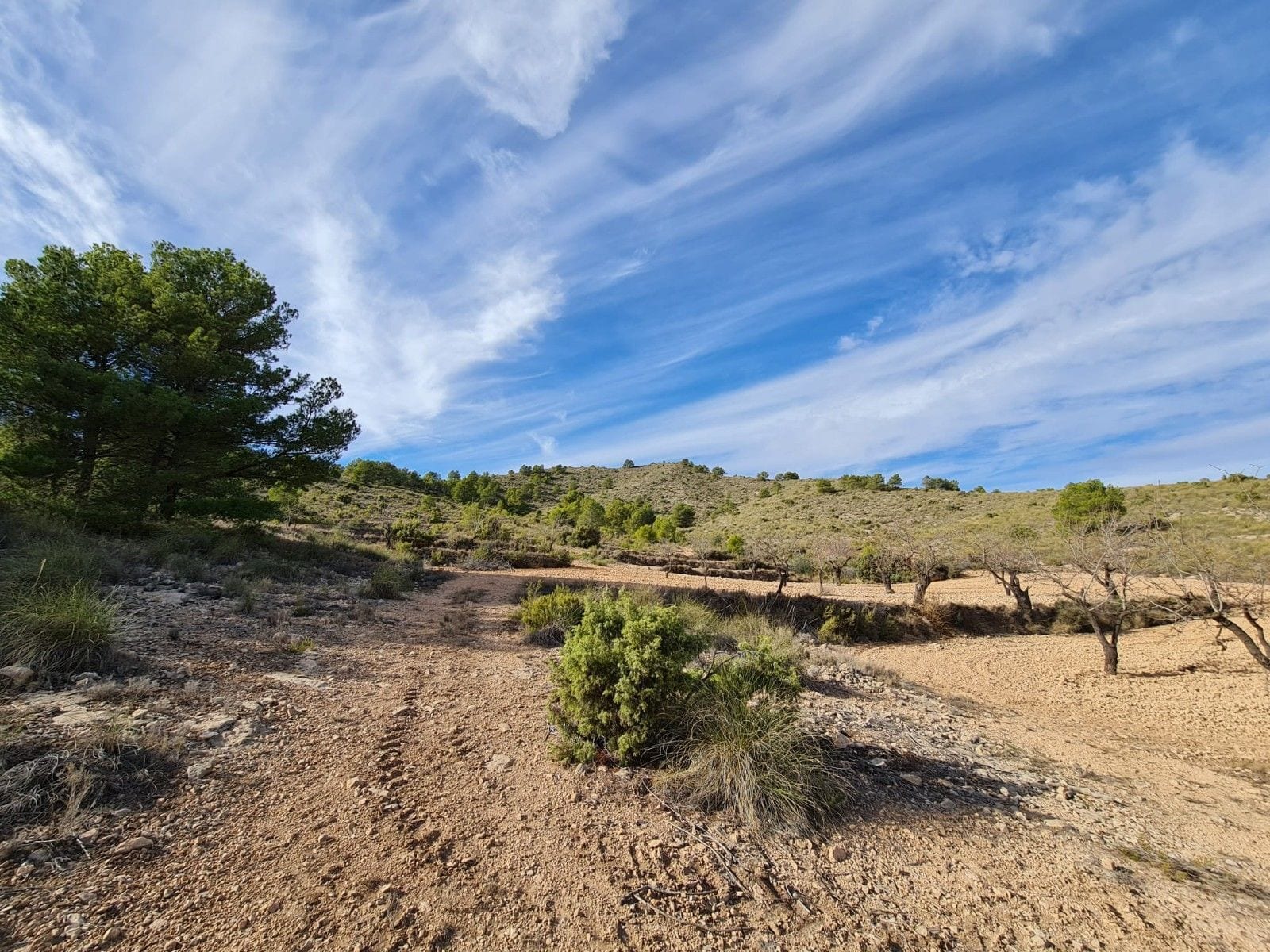 Terrain dans Yecla, Murcia à vendre Aérien- Image 1 de 11