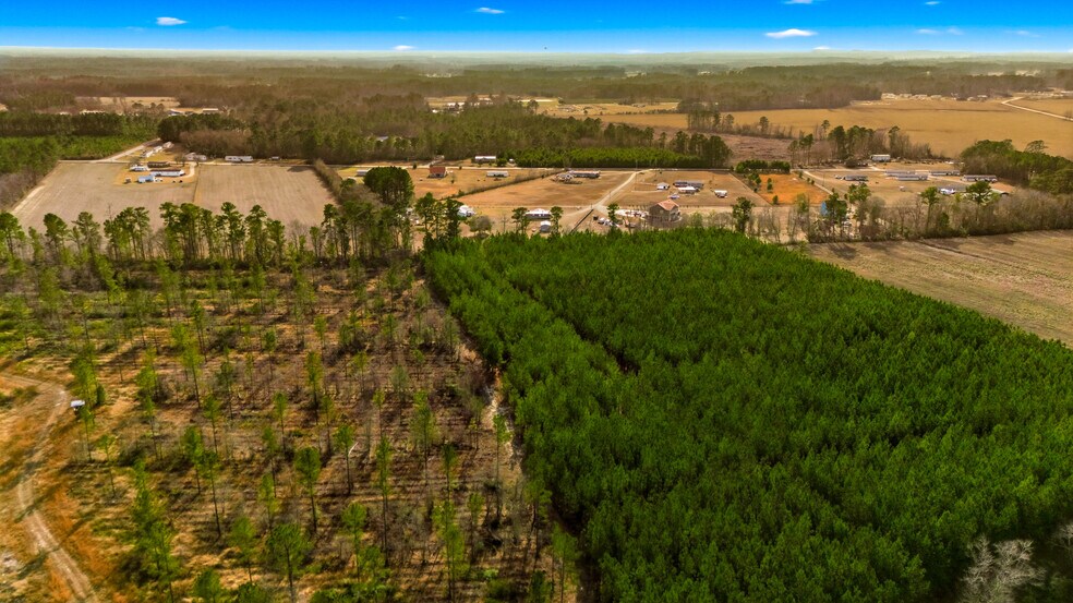 Highway 45, Loris, SC à vendre - Photo du bâtiment - Image 2 de 23