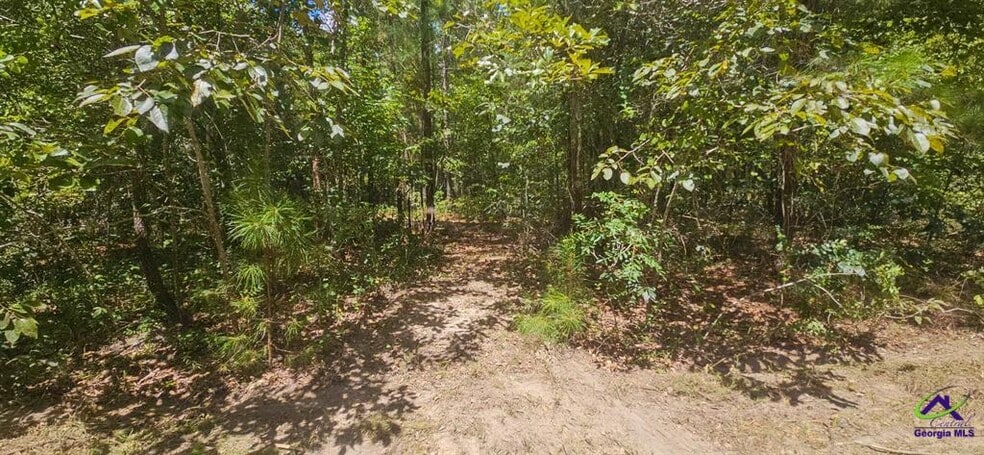 21.20 Acres Priest Road, Vienna, GA for sale - Other - Image 3 of 20