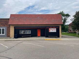 Plus de détails pour 301 Main St N, Minnesota Lake, MN - Vente au détail à vendre