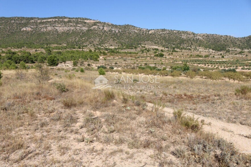 Terrain dans MONÒVER, Alicante à vendre - Photo principale - Image 2 de 17
