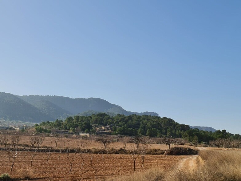 Terrain dans Abanilla, Murcia à vendre - Photo principale - Image 2 de 12