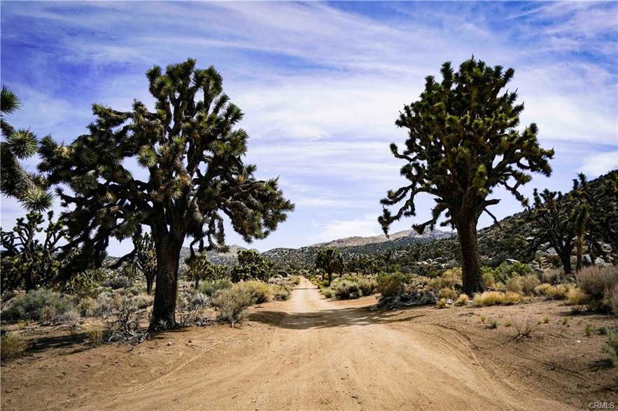 45710 Big Sleepy Rd, Pioneertown, CA à vendre - Photo du bâtiment - Image 1 de 1