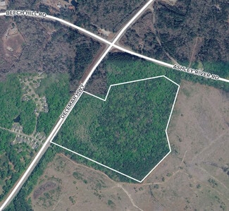 More details for Delemar Hwy, Summerville, SC - Land for Sale