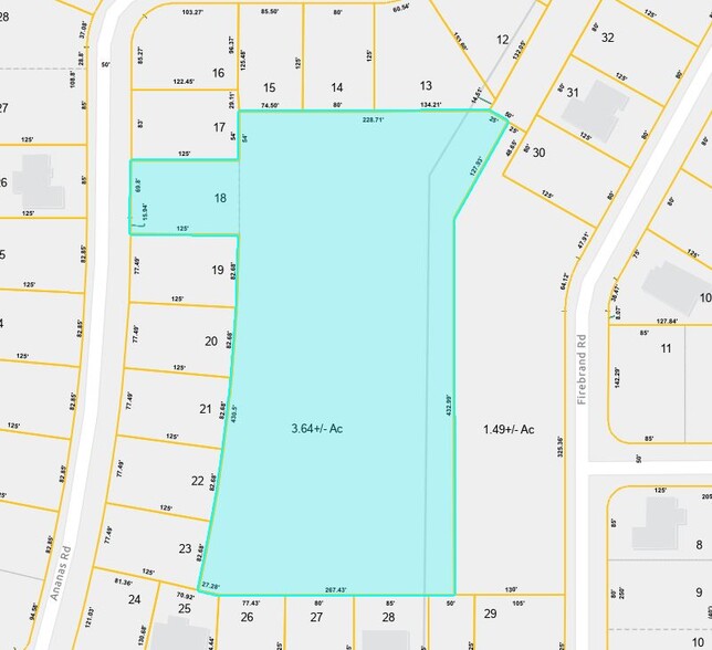 Ananas Road Rd, North Port, FL à vendre - Plan cadastral - Image 3 de 4