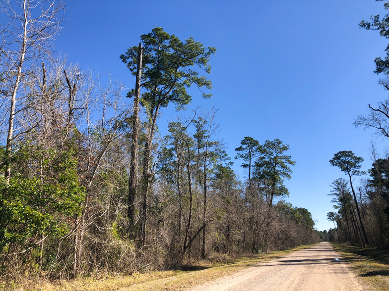 Palmer Rd, Daisetta, TX à vendre - Autre - Image 1 de 1