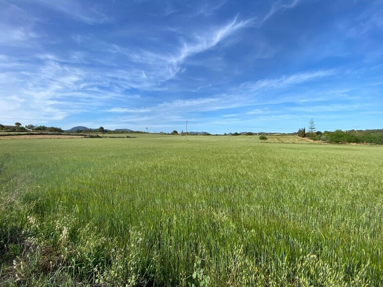 Land in Manacor, Islas Baleares for sale - Building Photo - Image 2 of 4