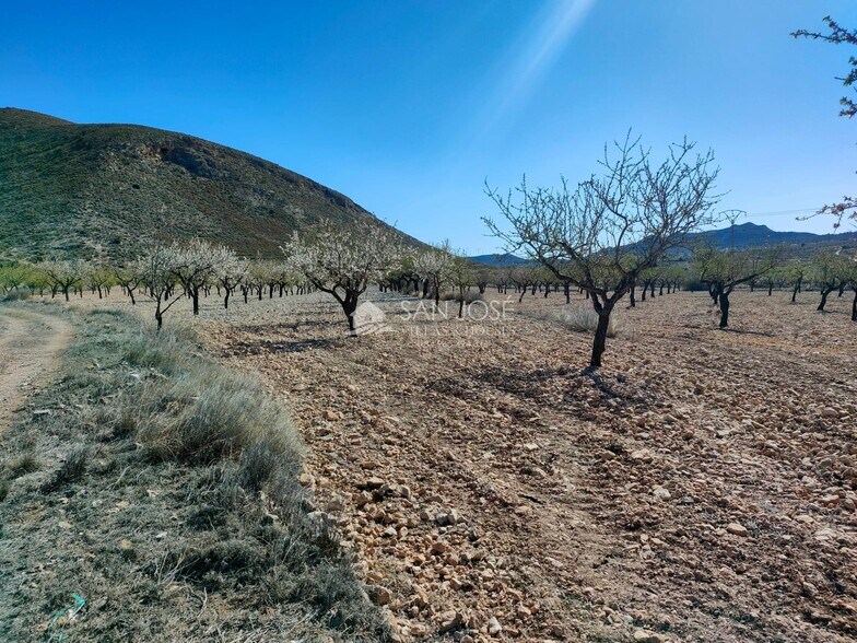 Land in Orihuela, Alicante for sale - Primary Photo - Image 2 of 11