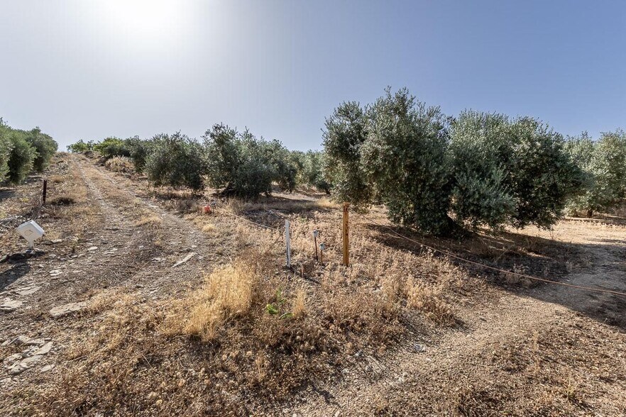Terrain dans Montefrío, Granada à vendre - Plan de site - Image 3 de 16