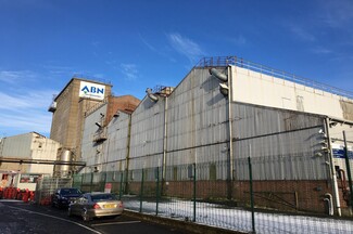 Plus de détails pour 160 Moira Rd, Lisburn - Industriel à louer