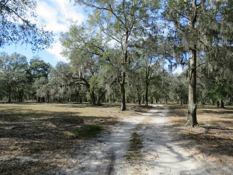 9570 NE 35th st, Bronson, FL for sale - Building Photo - Image 2 of 16