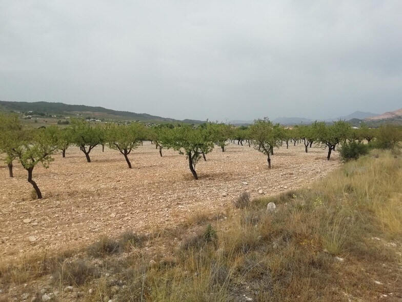 Terrain dans Orihuela, Alicante à vendre - Aérien - Image 1 de 3
