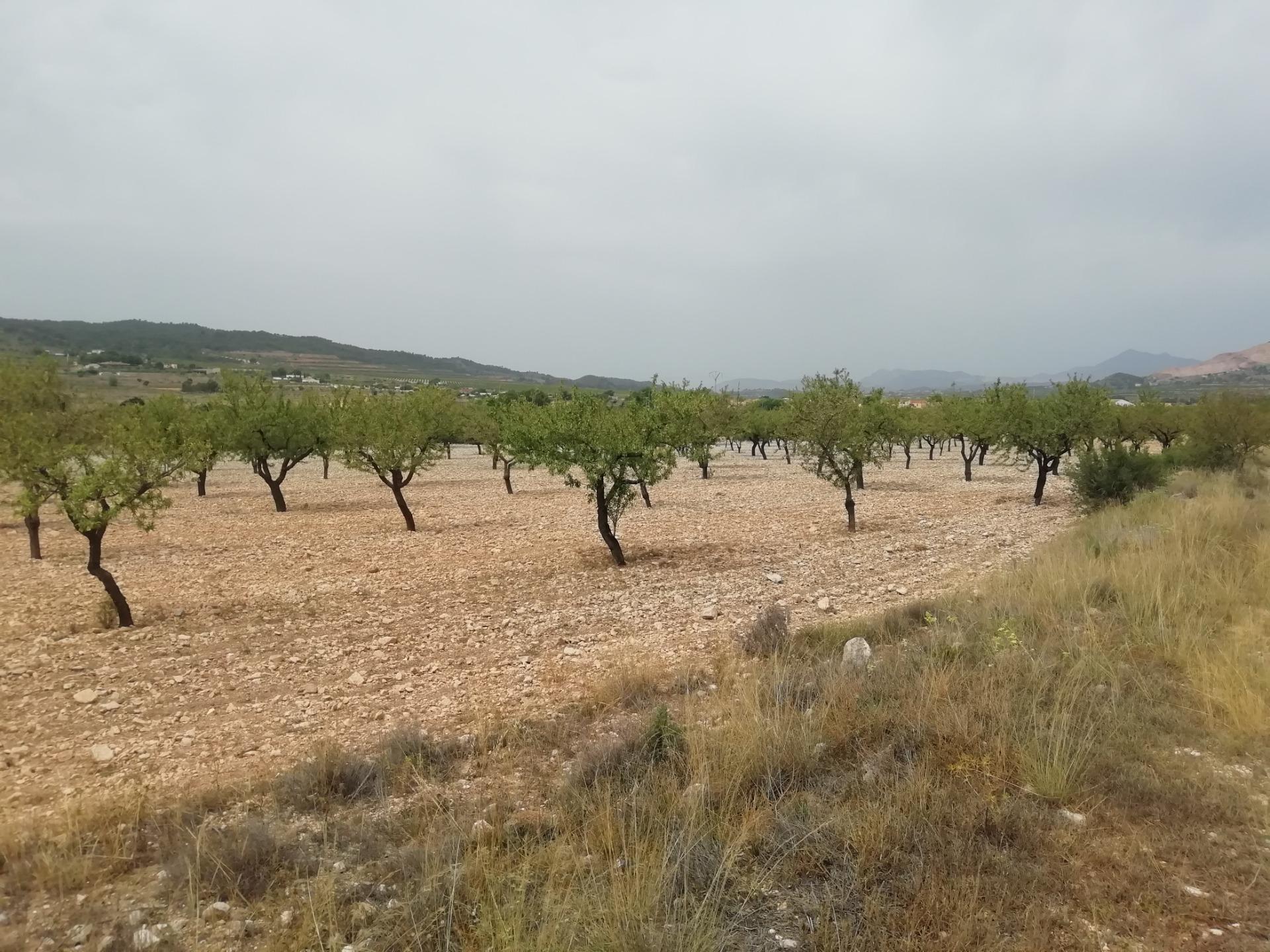 Terrain dans Orihuela, Alicante à vendre Aérien- Image 1 de 4