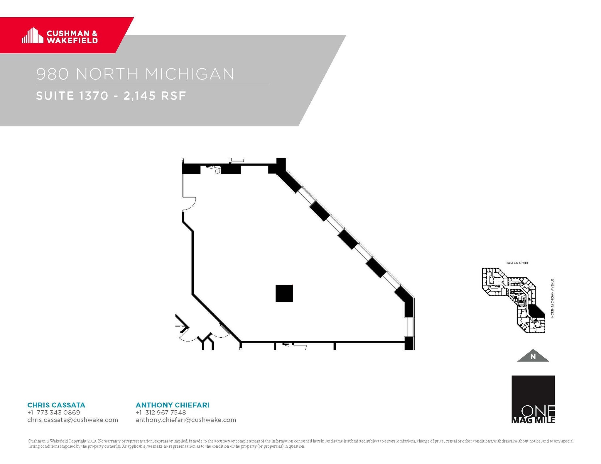 980 N Michigan Ave, Chicago, IL à louer Plan d’étage- Image 1 de 1