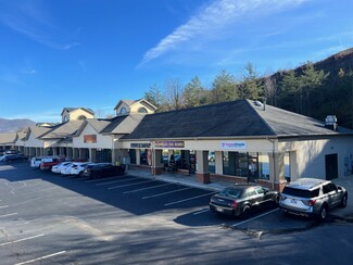 Plus de détails pour 1620 Highway 76 W, Hiawassee, GA - Bureau, Vente au détail à louer