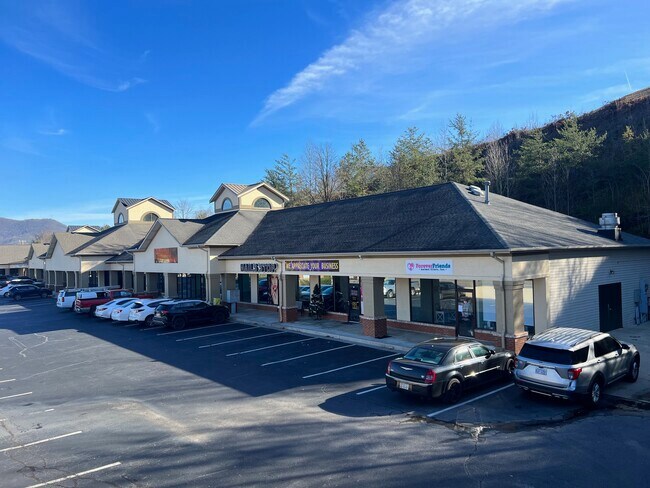 Plus de détails pour 1620 Highway 76 W, Hiawassee, GA - Bureau, Commerce de détail à louer