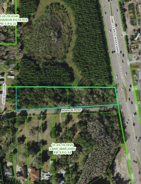 Land O' Lakes Blvd, Land O' Lakes, FL for sale - Building Photo - Image 2 of 3