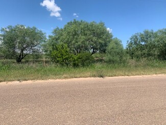 Plus de détails pour 398 Well Ln, Laredo, TX - Terrain à vendre