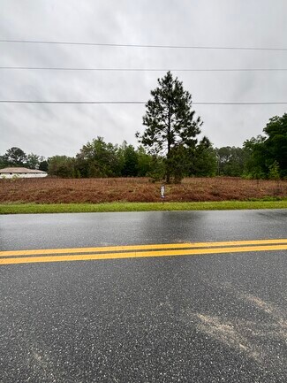 More details for 21223 SW Beach Blvd, Dunnellon, FL - Land for Sale
