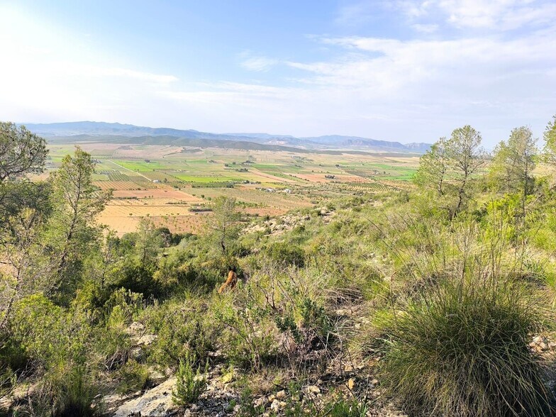 Terrain dans Yecla, Murcia à vendre - Aérien - Image 1 de 15